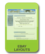 ebay layouts